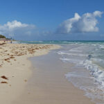 Specialists watch out for receding coastline