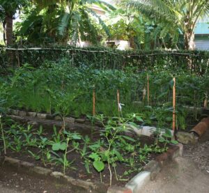 Lee más sobre el artículo Impulsan la agricultura familiar en Morón