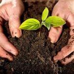 Movimiento de Campesino a campesino por impulsar técnicas agroecológicas