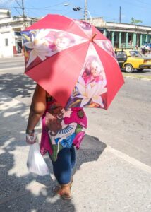 Lee más sobre el artículo ¿Será más intenso el calor de este verano?