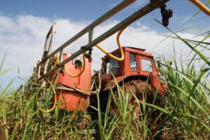 Lee más sobre el artículo Moronense co-operative to host Provincial Agricultural Worker’s Day event