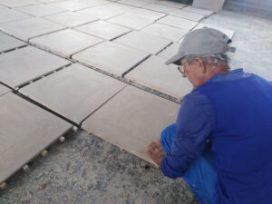 Lee más sobre el artículo Diversifican producciones yeseros de Punta Alegre