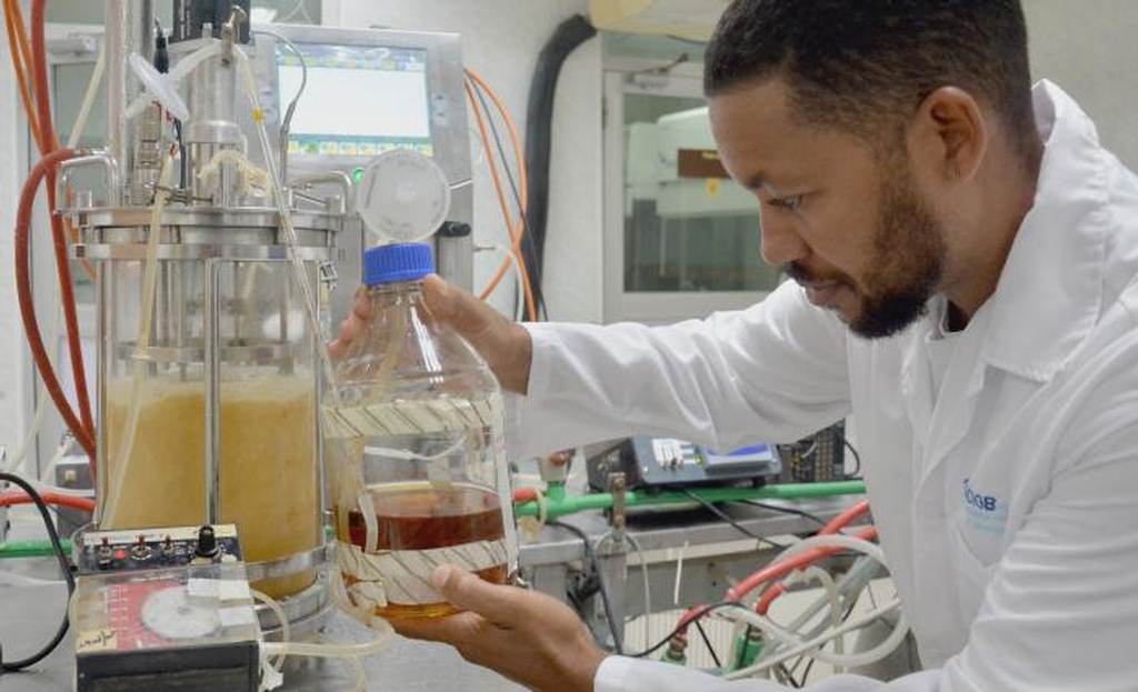 En este momento estás viendo Celebran Día Internacional de la Biotecnología