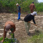 Saldos positivos del proyecto de rehabilitación de dunas