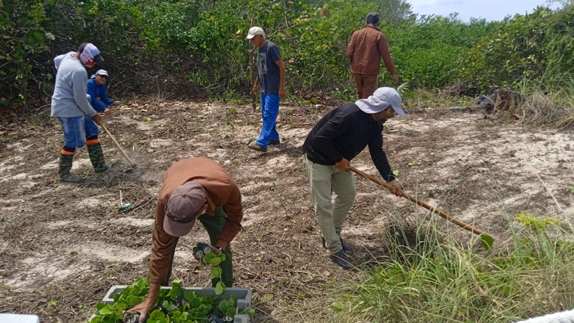 En este momento estás viendo Saldos positivos del proyecto de rehabilitación de dunas