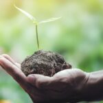 Para vestir mejor al Medio Ambiente