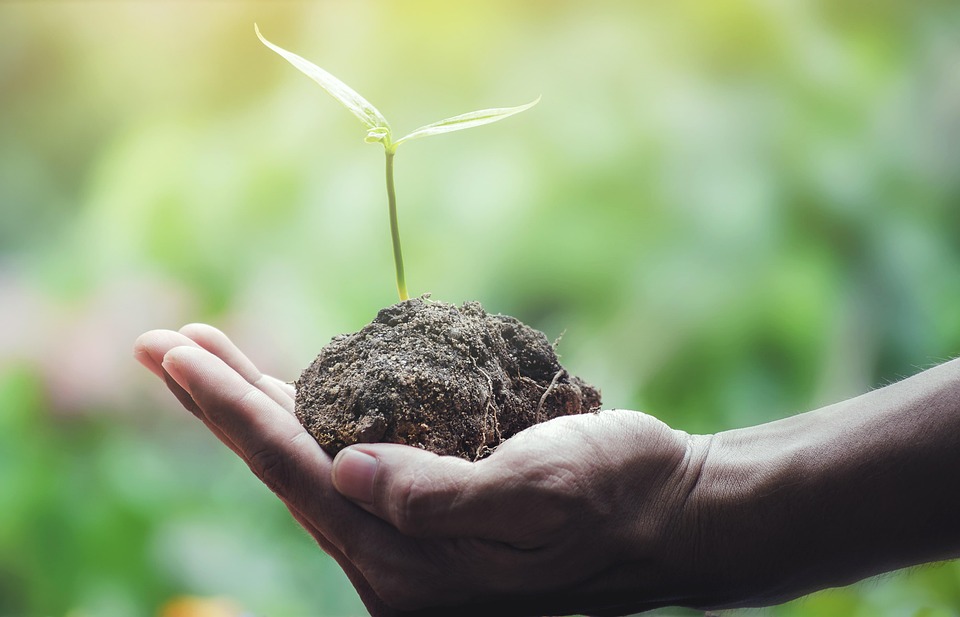 Para vestir mejor al Medio Ambiente