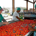 Advocacy for food sustainability in Ciego de Avila