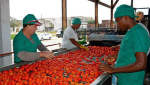 Abogan por la sustentabilidad alimentaria en Ciego de Ávila