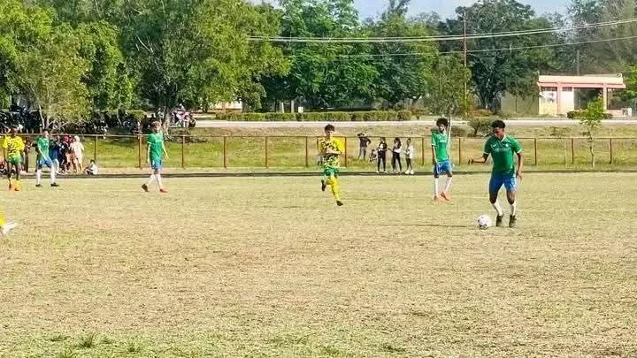 En este momento estás viendo Vencen Tiburones a tuneros y acceden al repechaje
