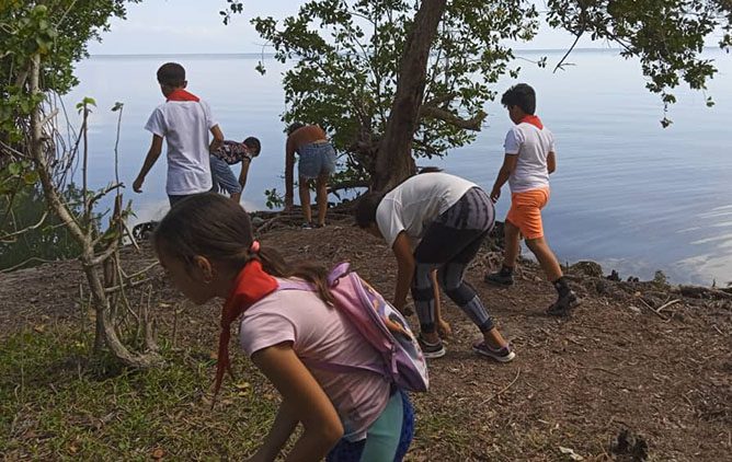 En este momento estás viendo Saludan pioneros de Ciego de Ávila Día Mundial del Medio Ambiente