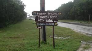 En este momento estás viendo Impulsan acciones para conservar la biodiversidad en en el norte de Ciego de Ávila