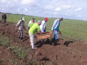 Lee más sobre el artículo Realizan en Morón Trabajo Voluntario en saludo al 26 de Julio
