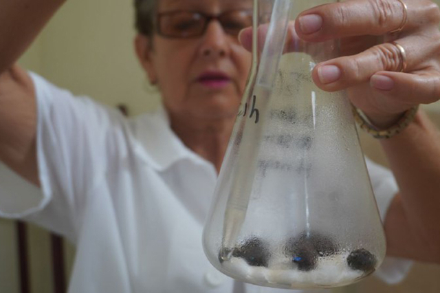 En este momento estás viendo Avanzan proyectos de investigación en centro científico avileño (+Fotos)