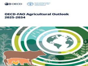 Lee más sobre el artículo FAO and OECD Present Global Agricultural Outlook 2025-2034