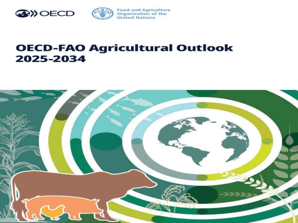 En este momento estás viendo Presentan FAO y OCDE las perspectivas agrícolas mundiales 2025-2034