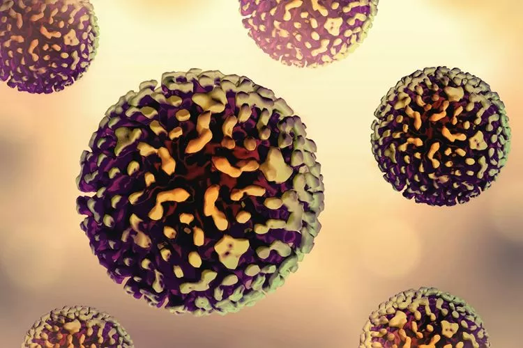 Lee más sobre el artículo OMS anuncia que la hepatitis D es cancerígena