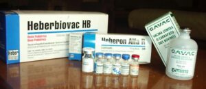 Lee más sobre el artículo Cuba’s Achievements in Hepatitis B Fight Highlighted