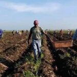 Fomentan en Morón nuevo polo productivo