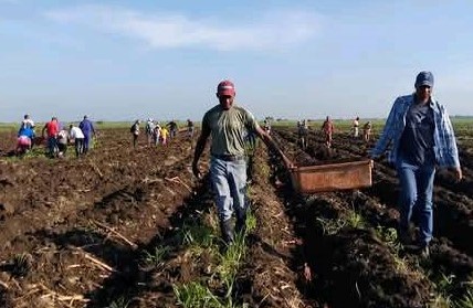 En este momento estás viendo Fomentan en Morón nuevo polo productivo
