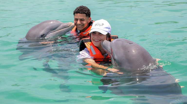 Lee más sobre el artículo Terapias con delfines