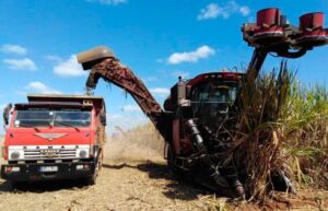 Lee más sobre el artículo Sugar Transport Workers Focus on Equipment Maintenance and Repairs