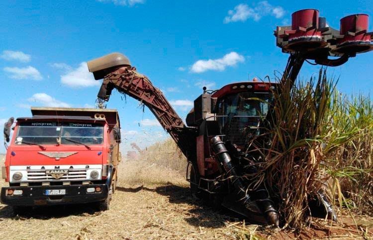 En este momento estás viendo Laboran trabajadores del transporte azucarero en conservación y reparación del equipamiento