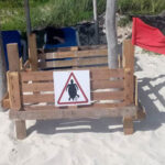 Eighth turtle nesting reported in Cayo Coco this year