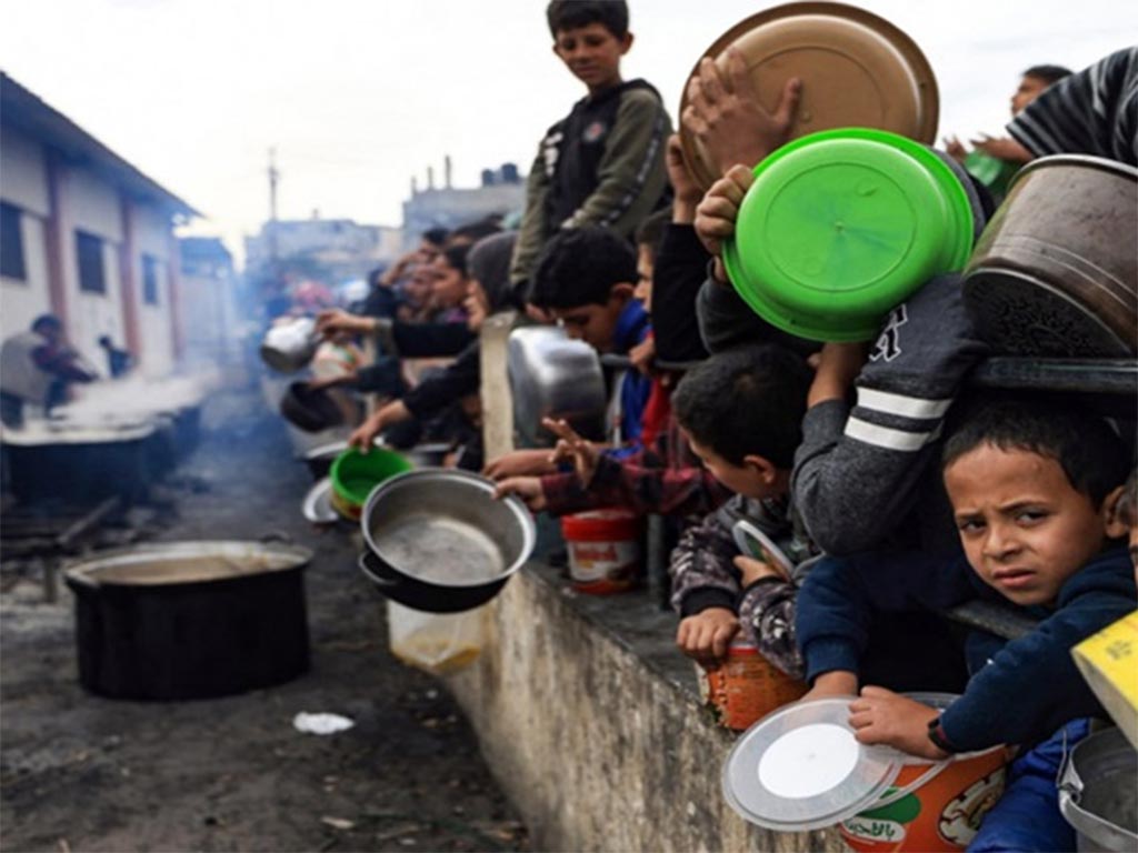 Lee más sobre el artículo FAO precisó que padecen hambruna medio millón de palestinos en Gaza