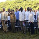 Fidel, eso que el árbol llama raíz