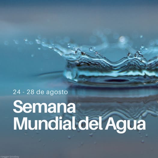 En este momento estás viendo Semana Mundial del Agua por la protección del líquido vital