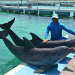 Promueven terapia con delfines en cayos de Cuba