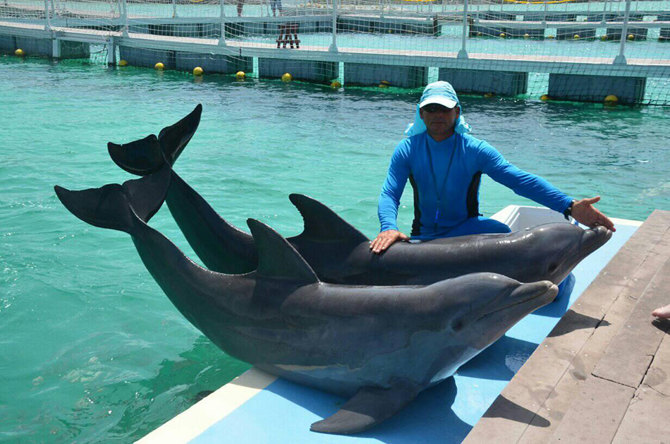 En este momento estás viendo Dolphin Therapy Promoted in Cuban Keys