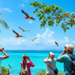 Jardines del Rey hosts one of the principal faunal reservoirs