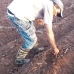 Desarrollan actividades en saludo al Congreso Campesino en Armas