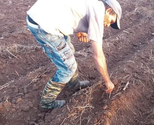 En este momento estás viendo Desarrollan actividades en saludo al Congreso Campesino en Armas