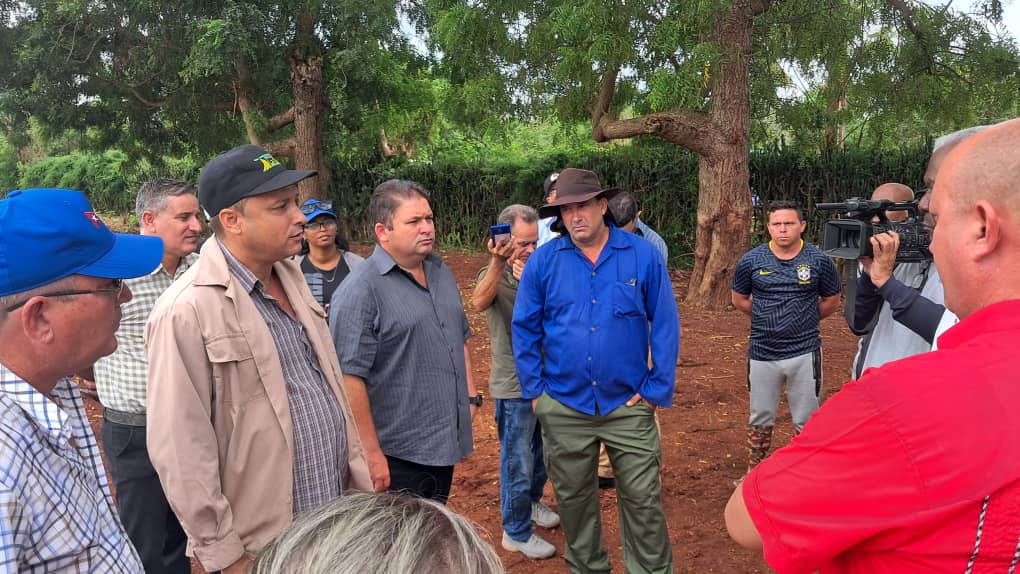 En este momento estás viendo Aportan campesinos avileños  más comida para el pueblo