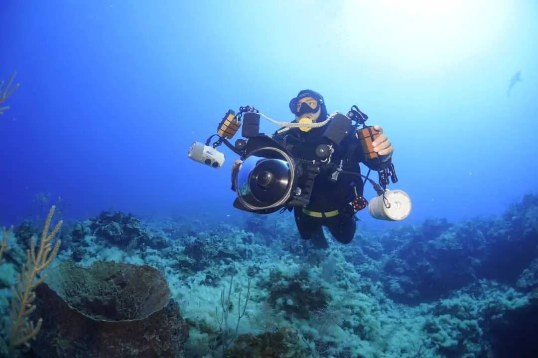 En este momento estás viendo Reportan los primeros datos de la expedición científica a Jardines de la Reina