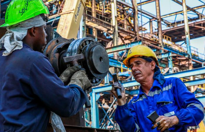En este momento estás viendo Expertise of sector workers allowed reconnection of National Electrical System in record time