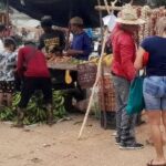 Feria Agropecuaria en Morón exige más control