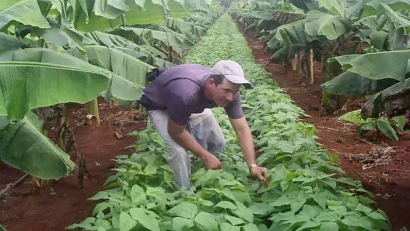 En este momento estás viendo UEB de Semillas: sembrando la base de la soberanía alimentaria