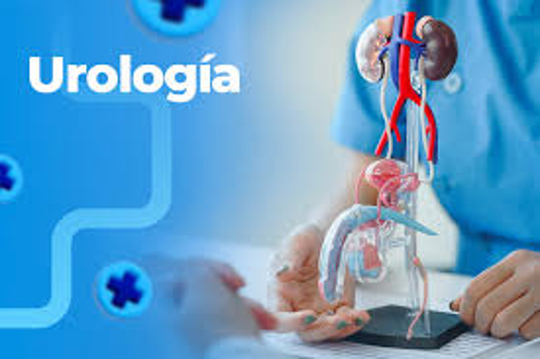 Lee más sobre el artículo Efectuarán en la provincia avileña una Jornada Nacional de Urología