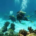 Resaltan las actividades náuticas en Jardines del Rey