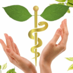 Natural and Traditional Medicine Workshop called in Ciego de Ávila