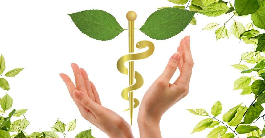 Lee más sobre el artículo Convocan en Ciego de Ávila a un Taller de Medicina Natural y Tradicional
