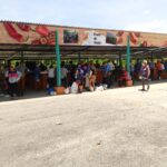 Logra mercado agropecuario notable estabilidad de ofertas y precios en Ciego de Ávila