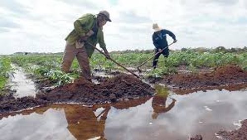 Lee más sobre el artículo Abogan productores por dominio de la ciencia y la técnica
