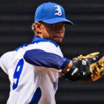 Leones por más leña para avivar el fuego de la Serie Nacional