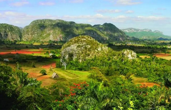 En este momento estás viendo Respalda FAO conservación de la biodiversidad en Cuba