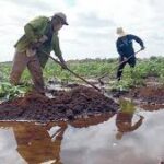 Abogan productores por dominio de la ciencia y la técnica